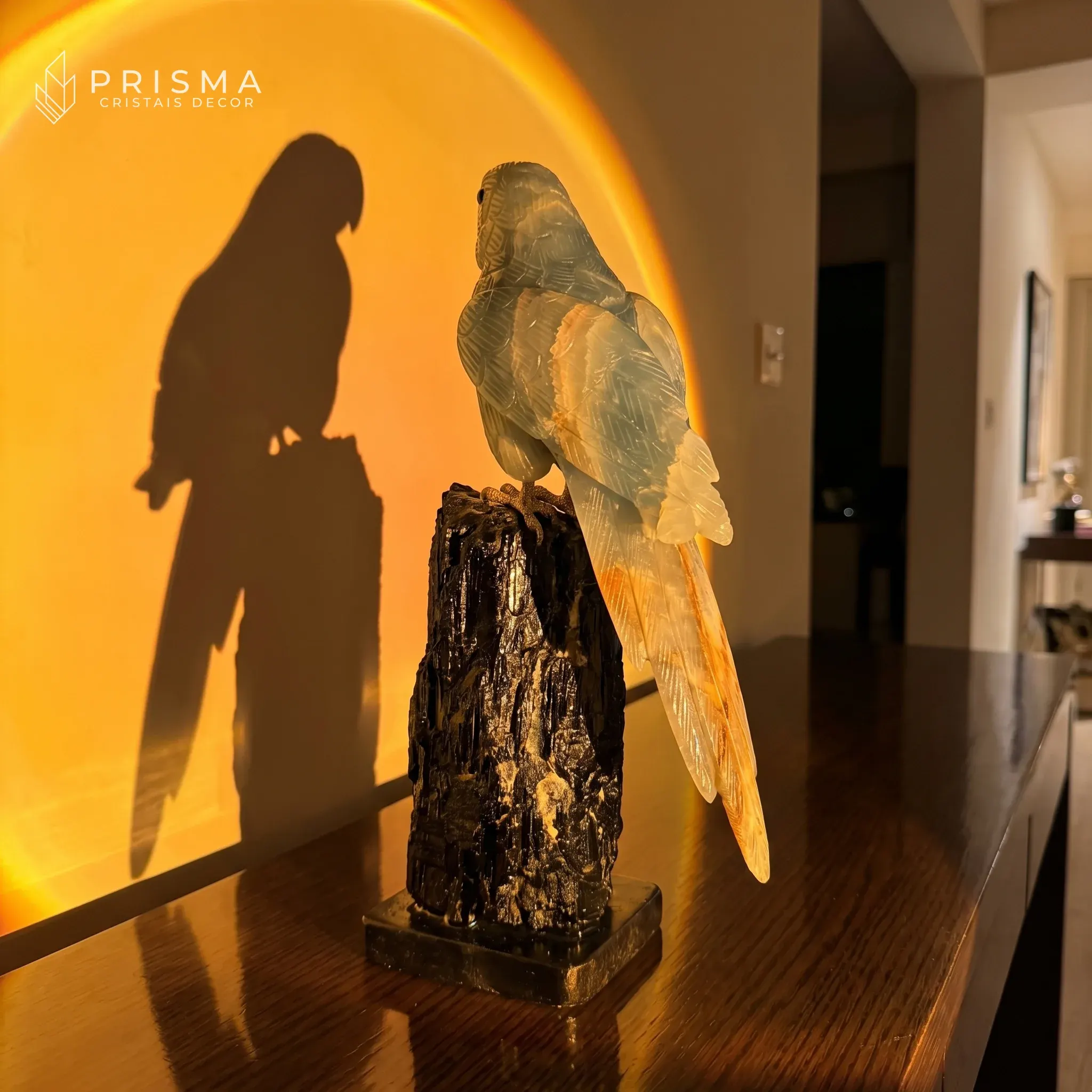 Arara Ônix Azul com luz quente dourada em aparador de madeira escura — contraste entre azul do ônix e luz sunset